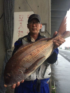 北九州の山崎さん、70cm真鯛GET